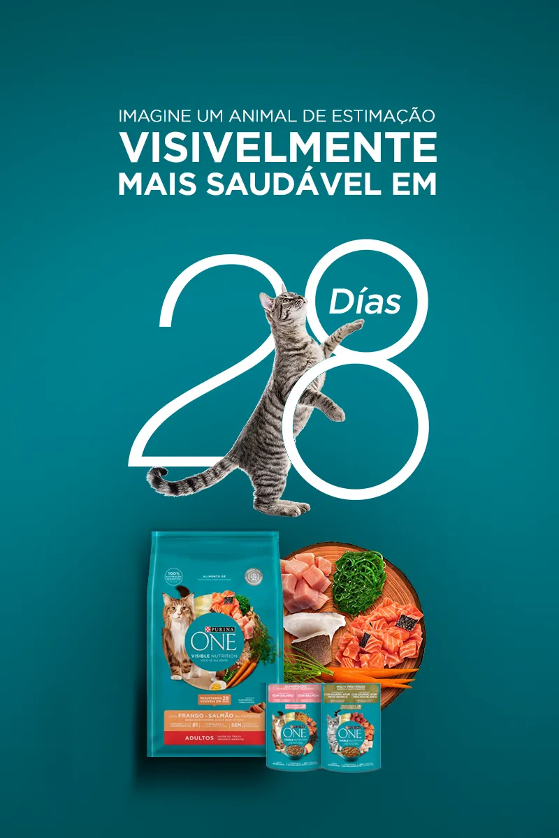 Gato tigrado em pé sobre o número 28, com embalagens de Purina One para gatos e ingredientes frescos