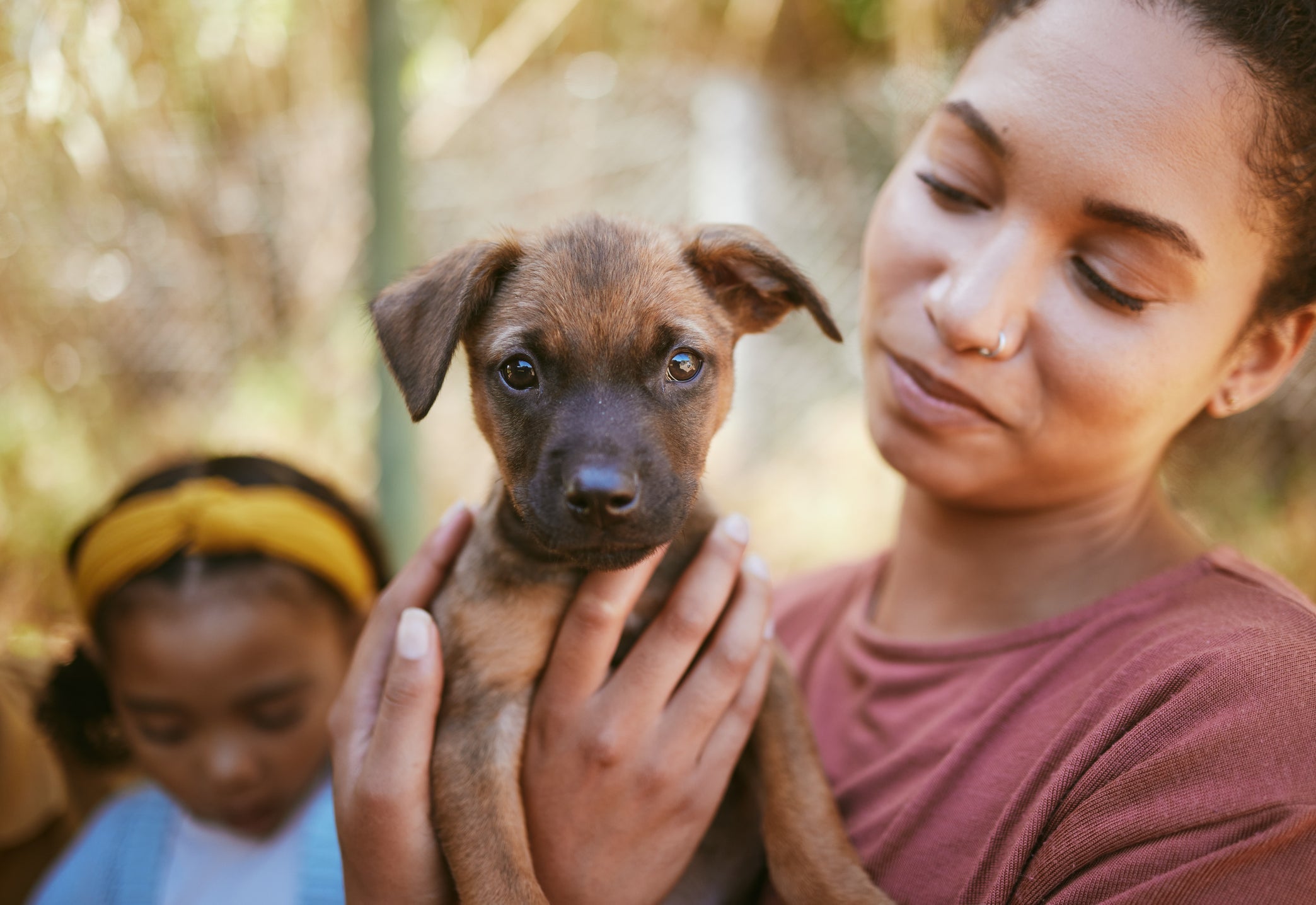 A adoção de cães deve ser um ato consciente e responsável