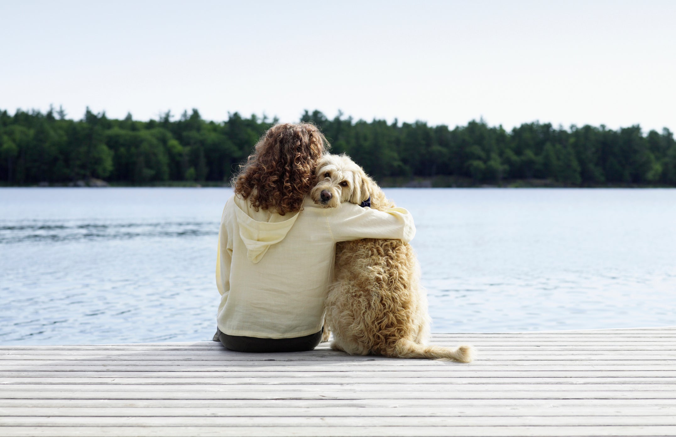 Comportamento canino: os cães amam a companhia dos seus humanos!