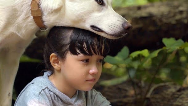 O filme sobre cachorro e sua relação com a famí­lia nova é perfeito para quem quer se divertir (Créditos: Divulgação)