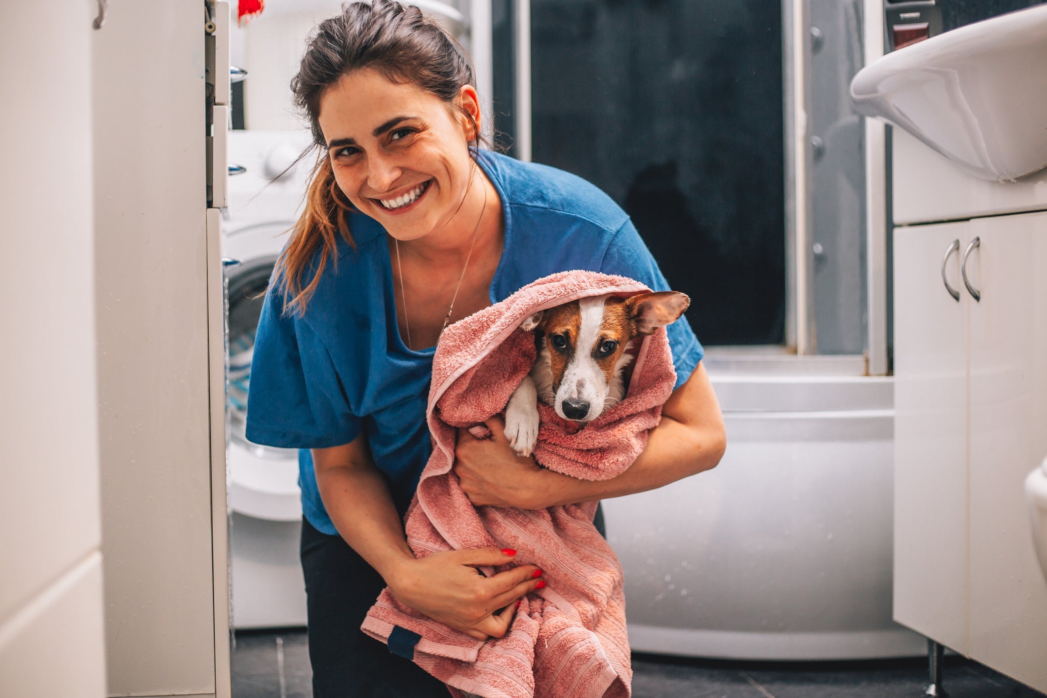 Seque as orelhas do cachorro para não favorecer a proliferação de fungos e bactérias