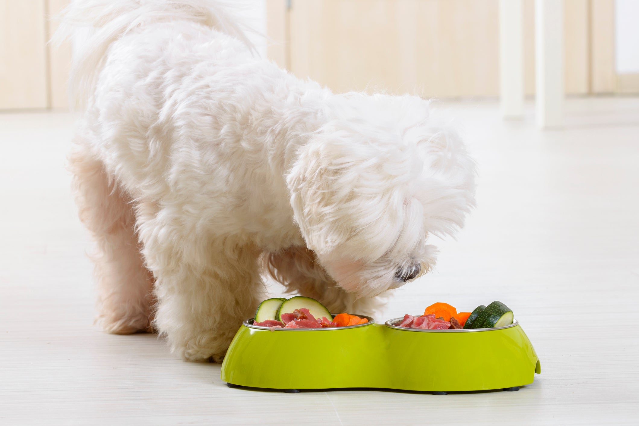 Alguns legumes que os cachorros podem comer precisam de muita atenção no preparo
