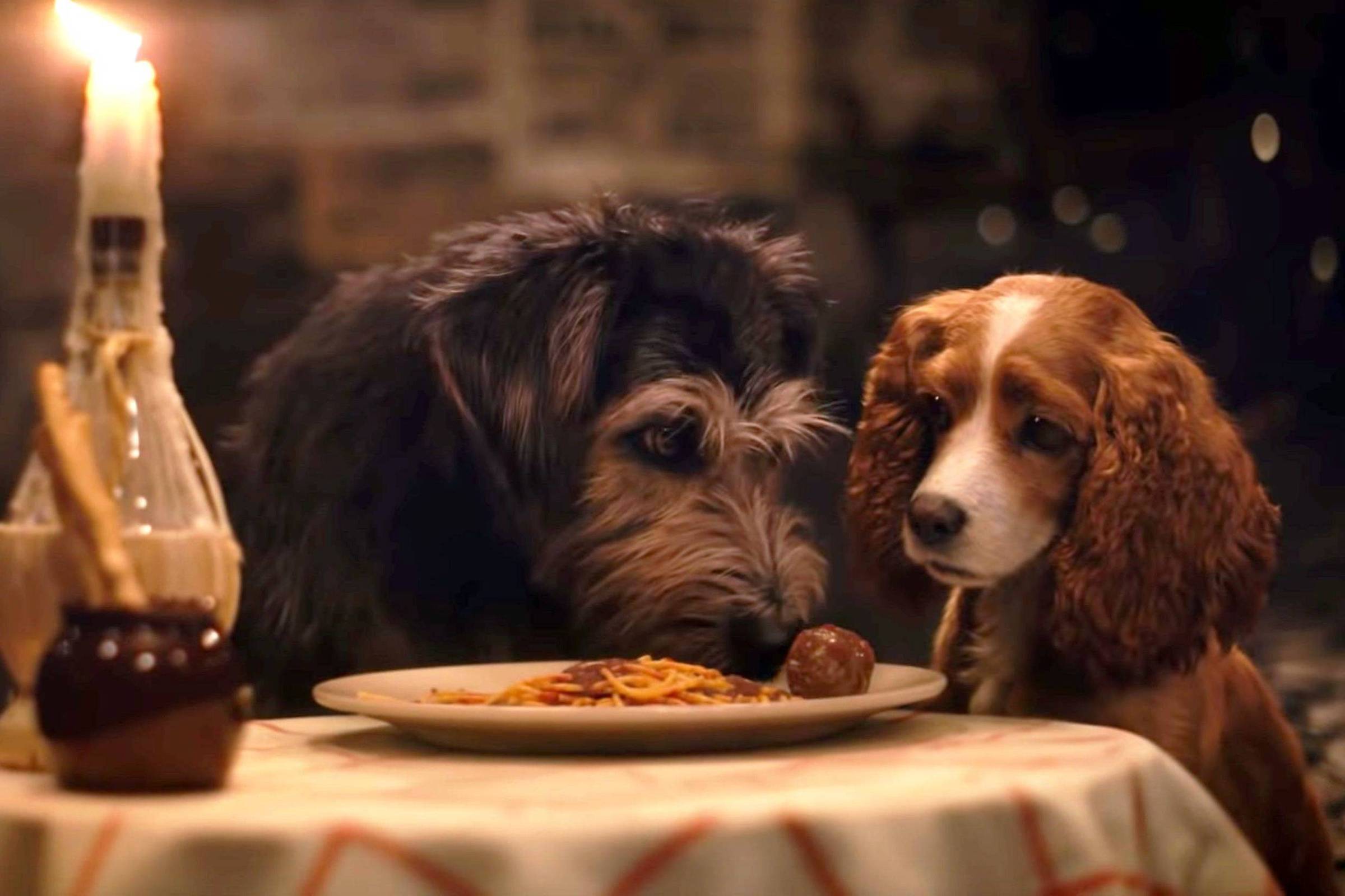 A Dama e o Vagabundo é um dos filmes de cachorro da Disney mais conhecidos