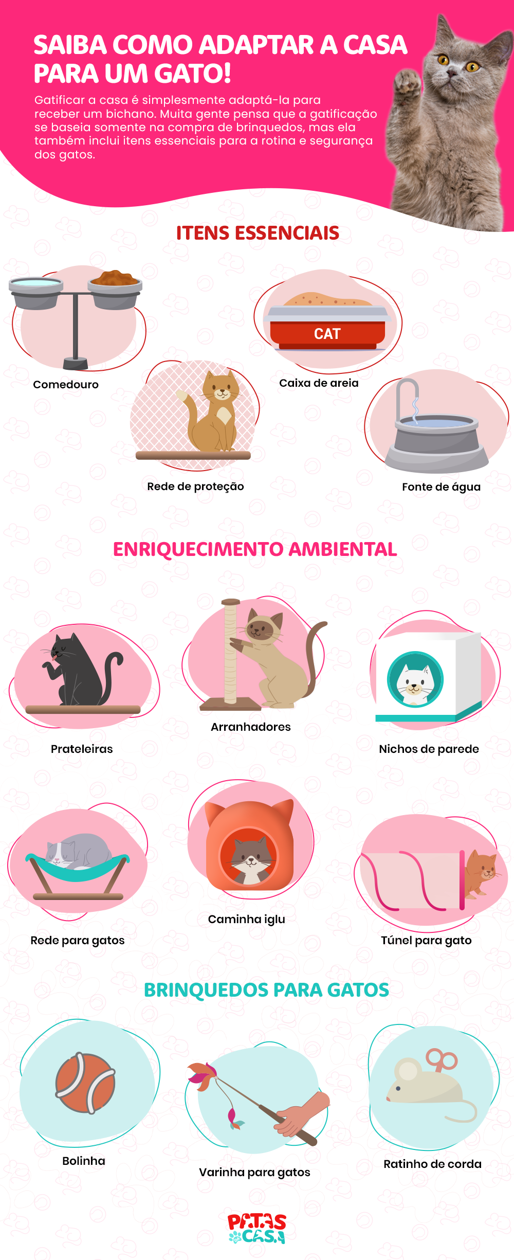 Gatificar ambiente é uma tarefa mais fácil do que você imagina