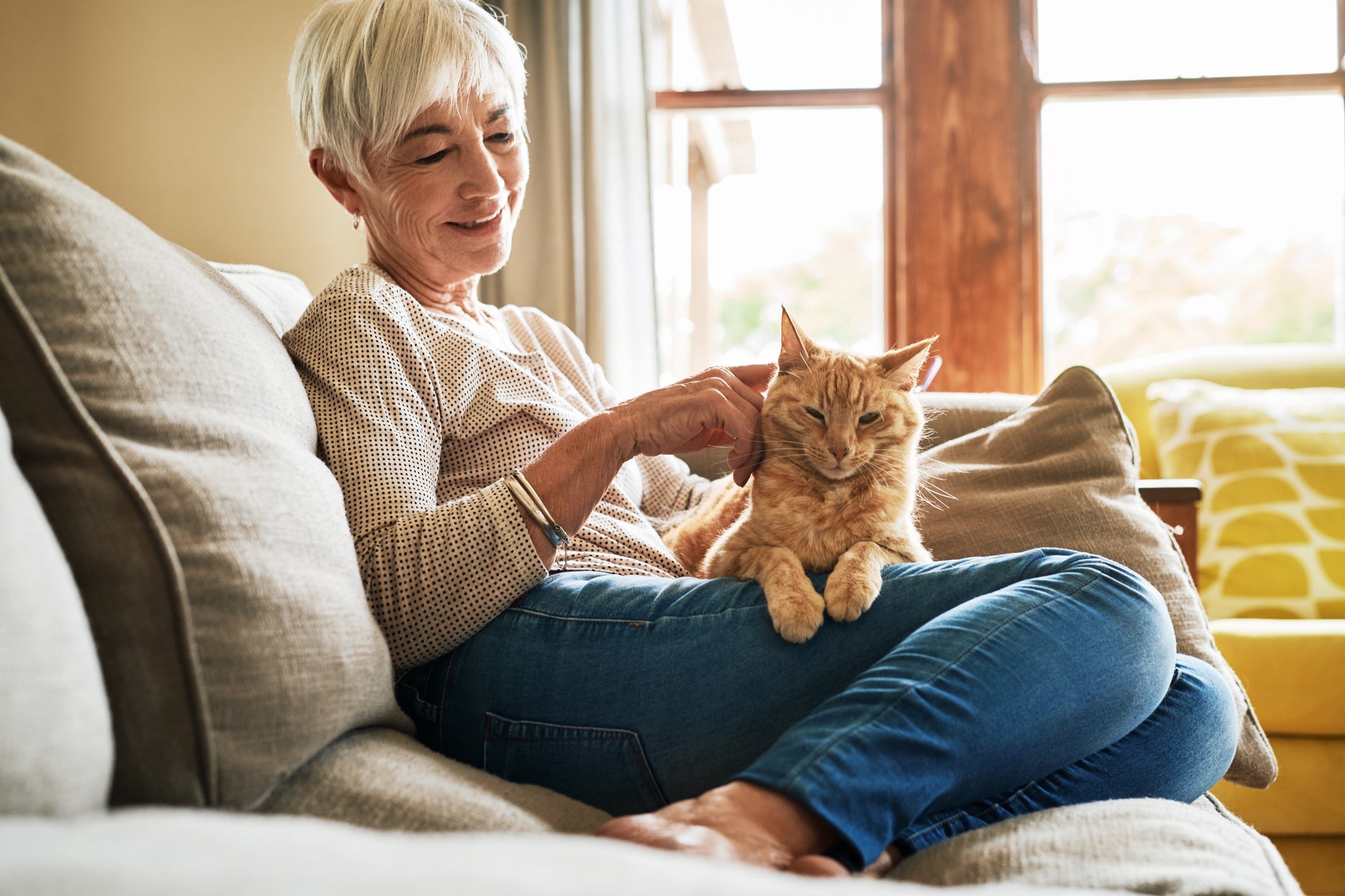 Adote um gato e dê adeus ao sentimento de ansiedade