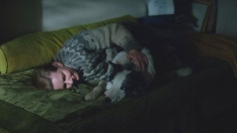 Anatomia de uma Queda é um dos filmes de de cachorro mais falados atualmente