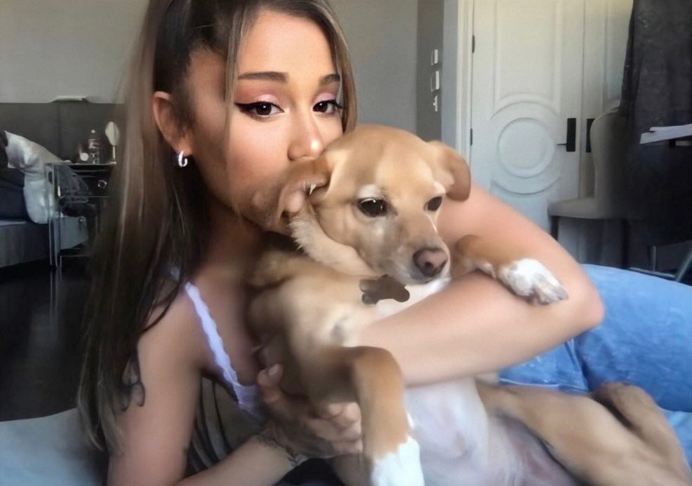 Ariana Grande é outra diva pop apaixonada por cães