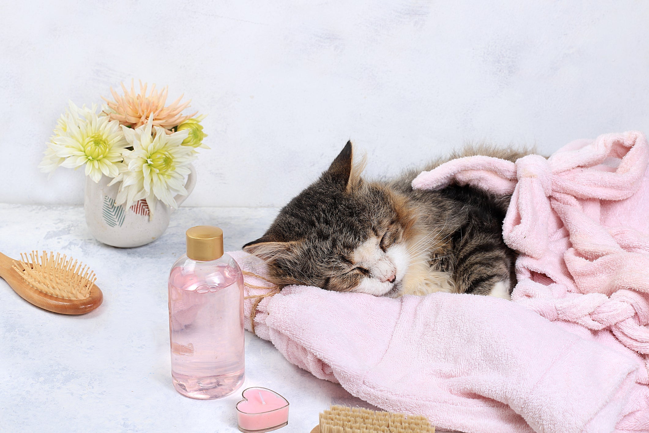A aromaterapia para pets é feita por inalação, banho aromático ou aplicação tópica