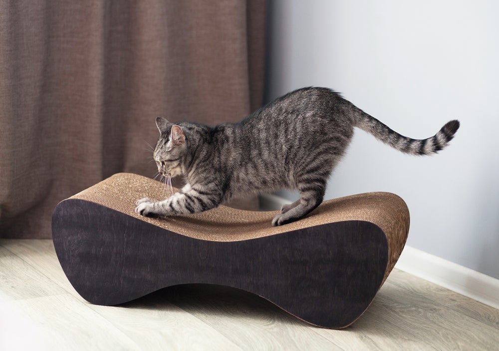 Arranhador para gatos horizontal é prático e costuma agradar os filhotes.