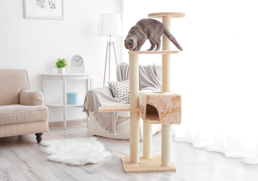 Arranhador para gatos em árvore é um sucesso por ter várias opções de distração para os felinos. 
