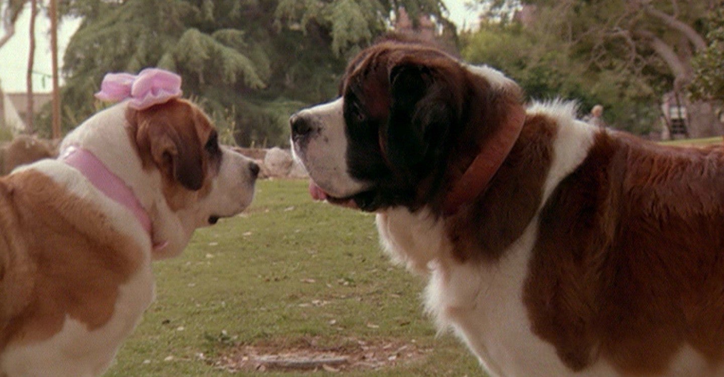 Filmes de cachorro: Beethoven é um clássico (Créditos: Divulgação)