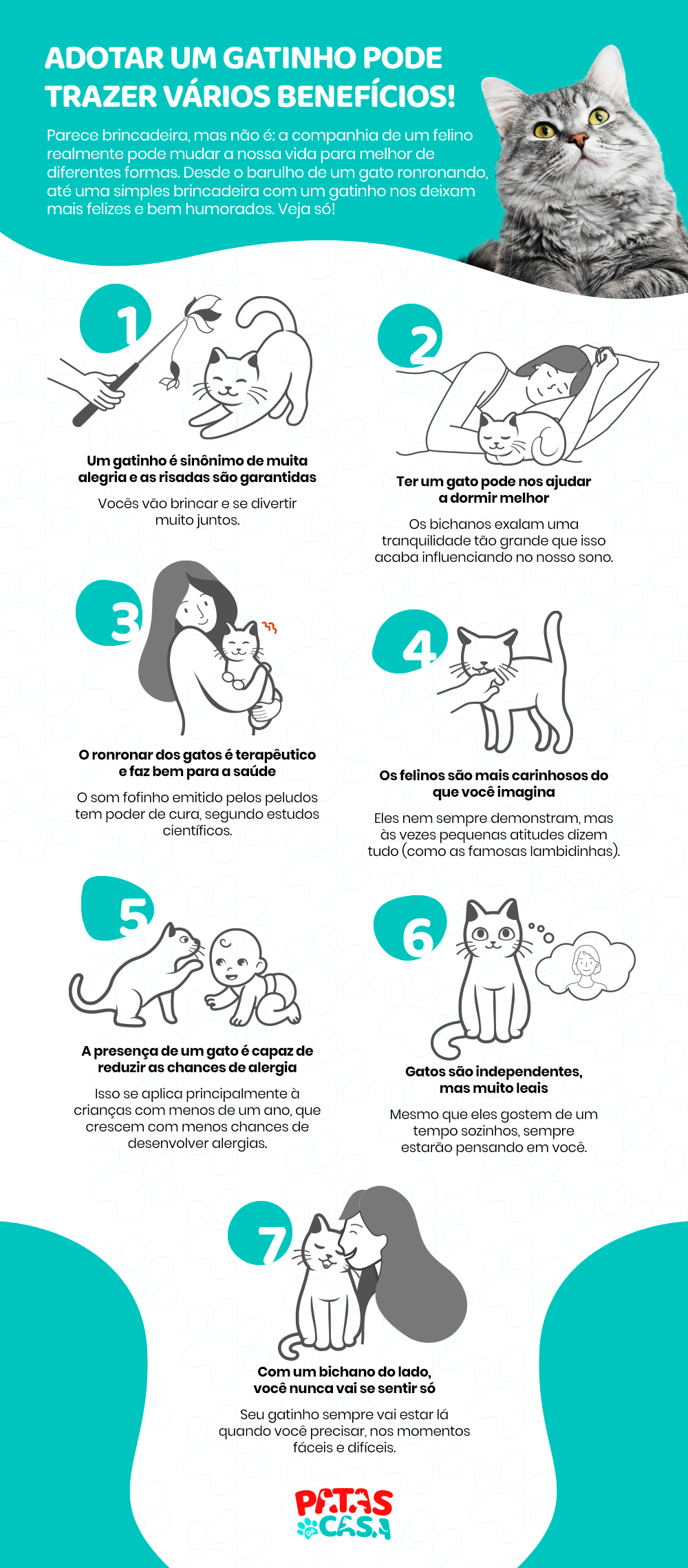 O amor de gato é maior do que a gente imagina. Veja como a presença dos felinos pode mudar a nossa vida!