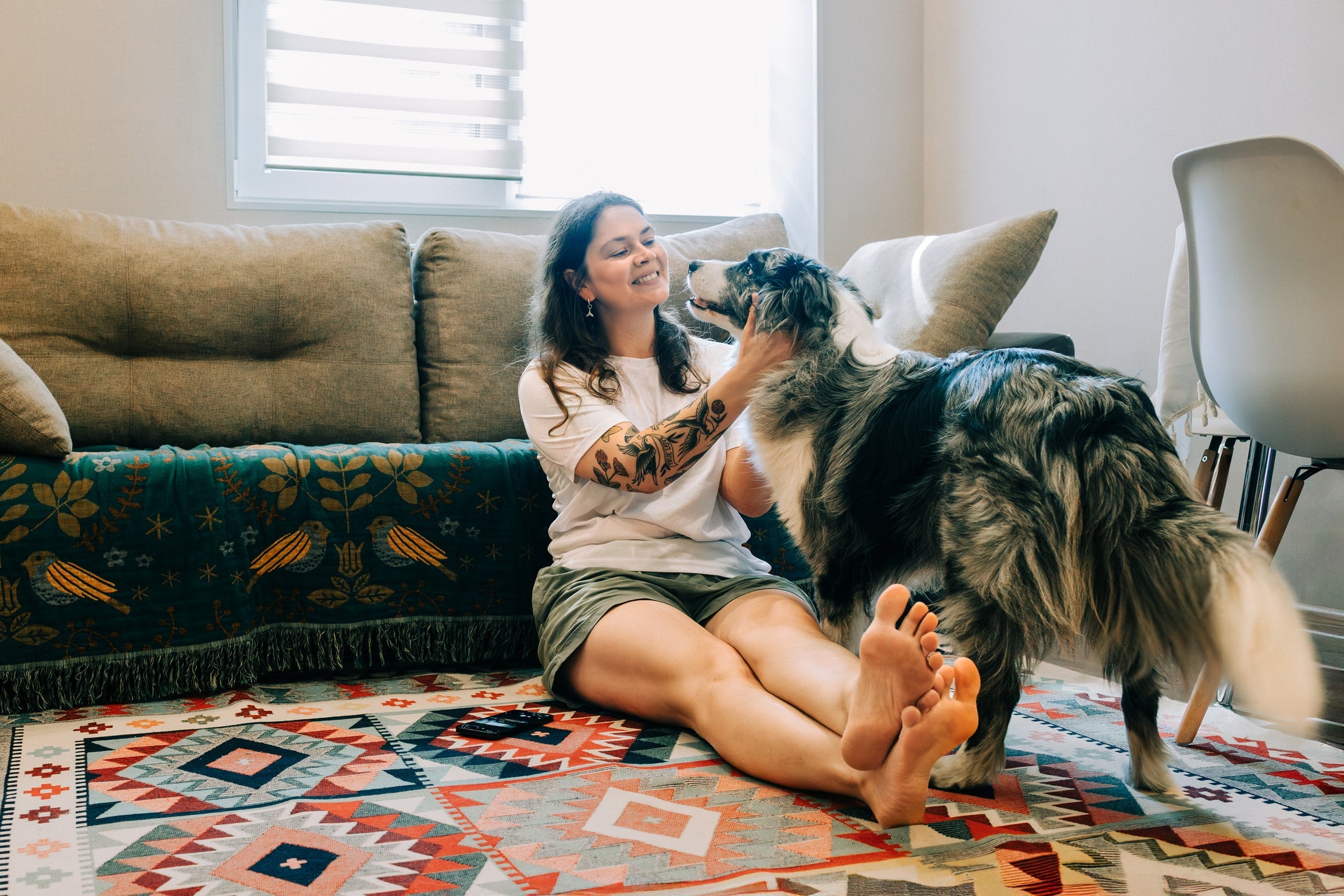 É possível ter um Border Collie em apartamento seguindo alguns cuidados essenciais com a raça