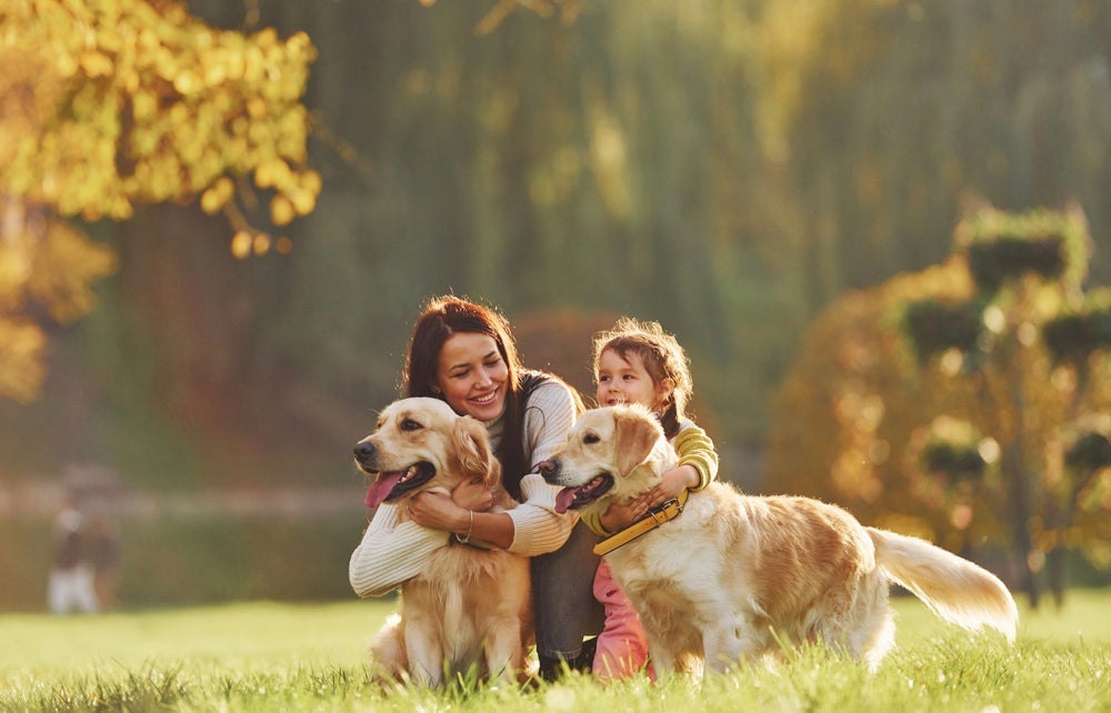 Uma dica que não pode ser esquecida na hora de como socializar cachorros é não deixar ninguém de lado