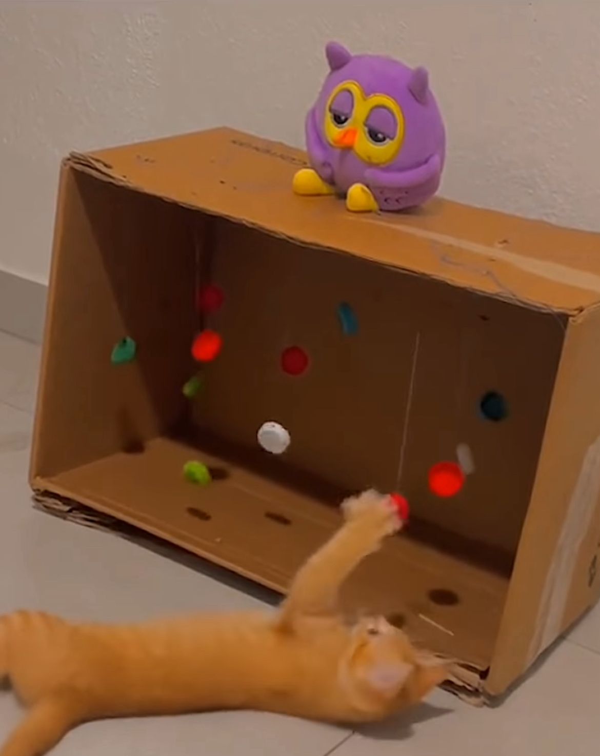 Brinquedo caseiro para gato é fácil de montar (Créditos: Instagram/@longevidadepet)