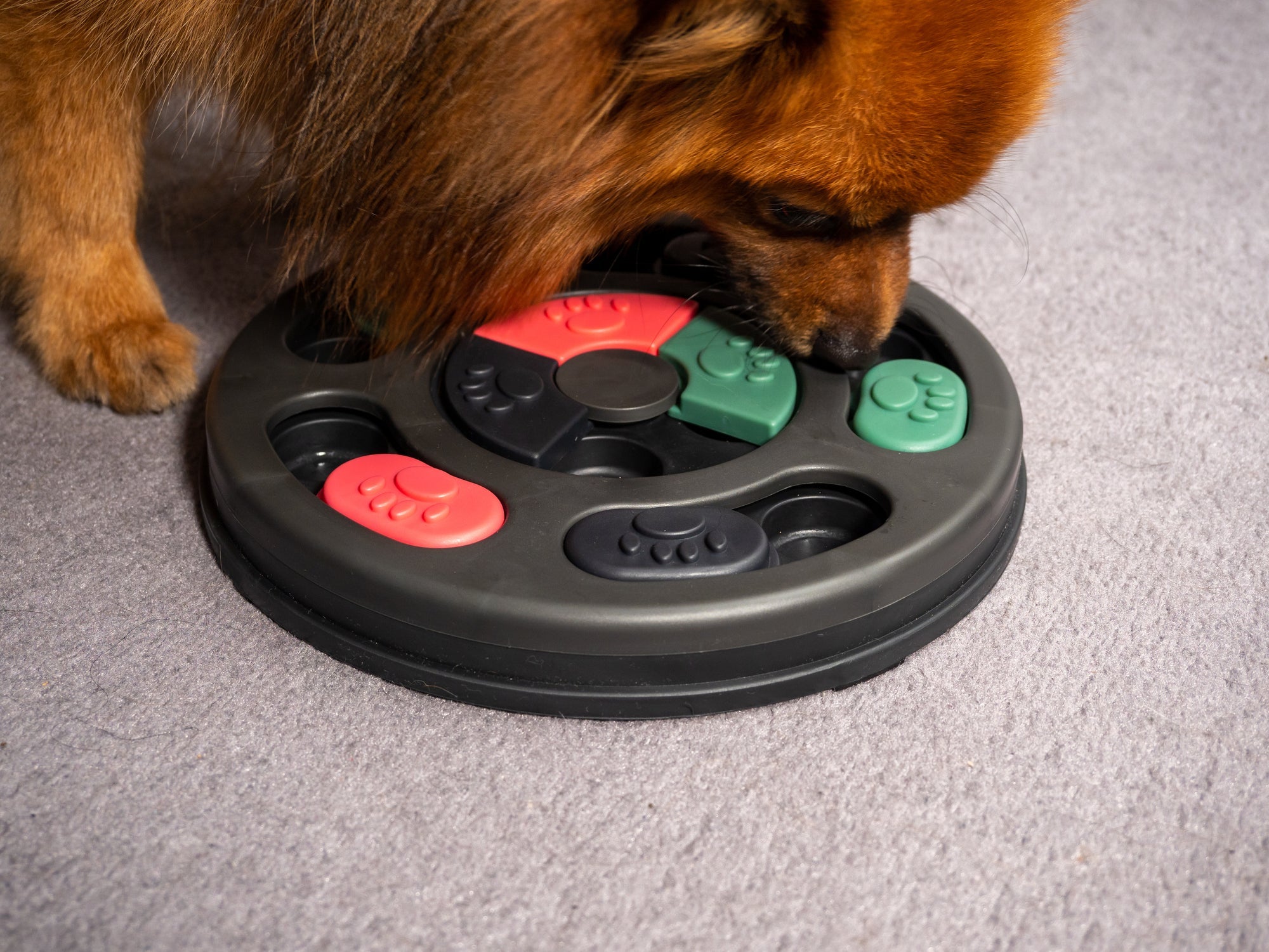O quebra cabeça  é um dos brinquedos para cachorro perfeito para treinar a inteligência