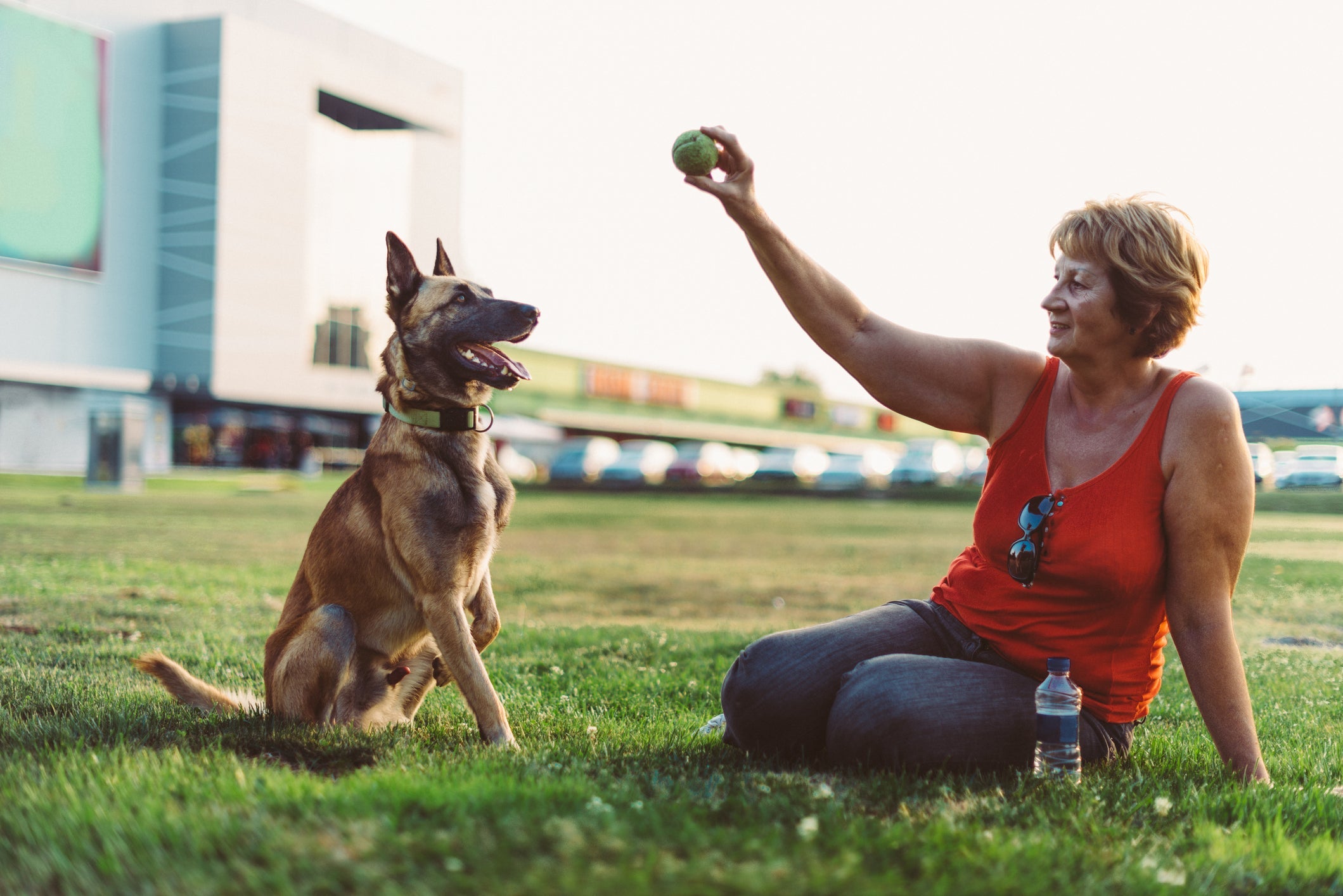 As brincadeiras para cachorro são cheias de benefícios para o pet