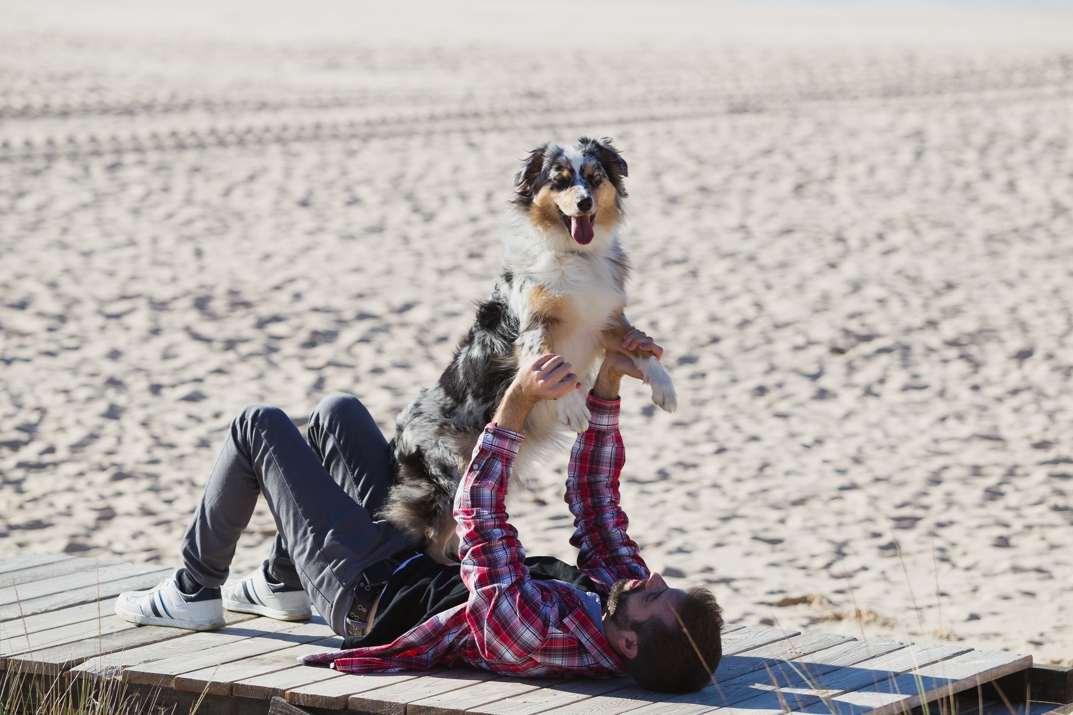 Dedicar um tempo de qualidade com o cachorro é fundamental para estreitar os laços entre vocês