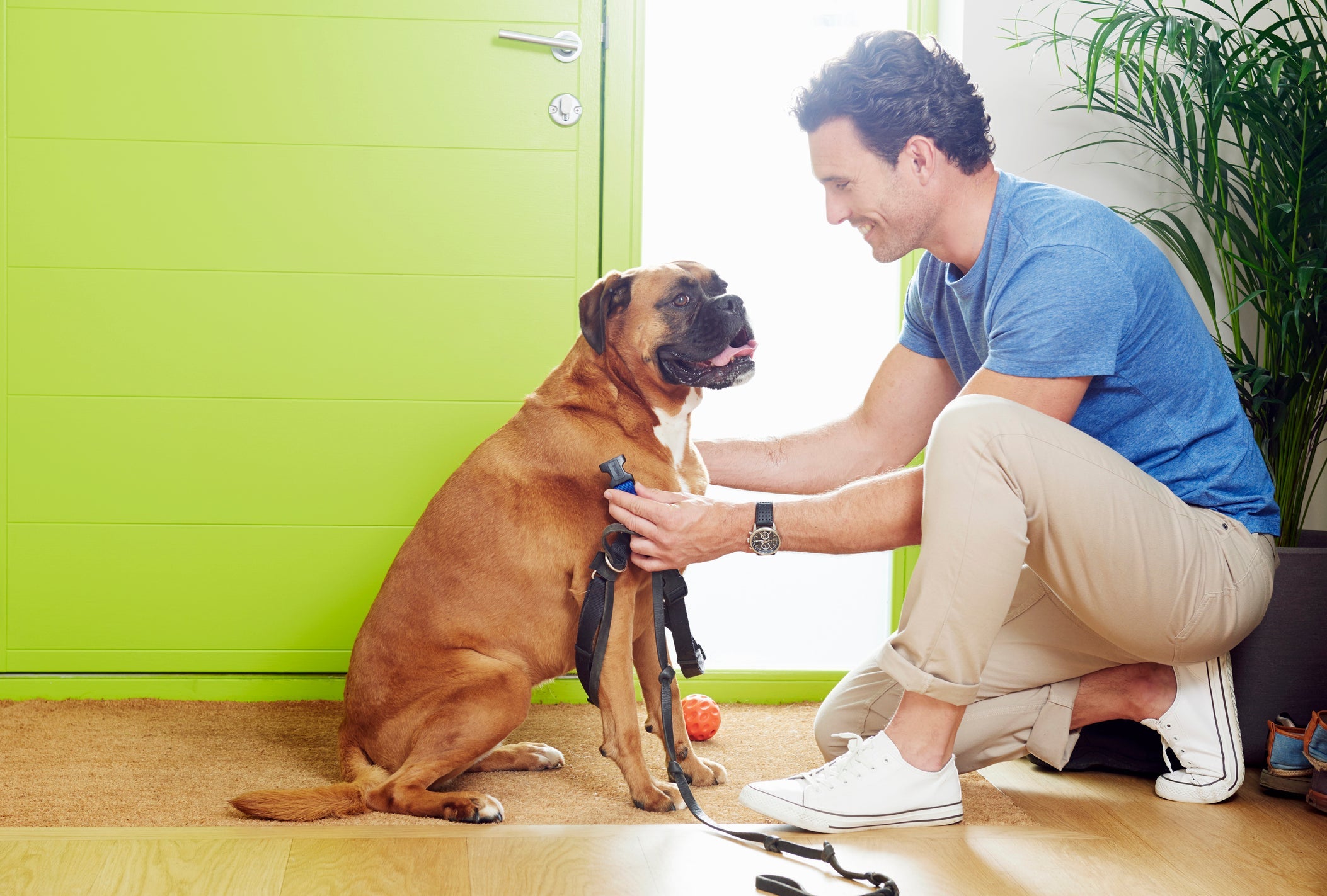 O adestramento de cães ajuda o tutor a ter mais controle da situação