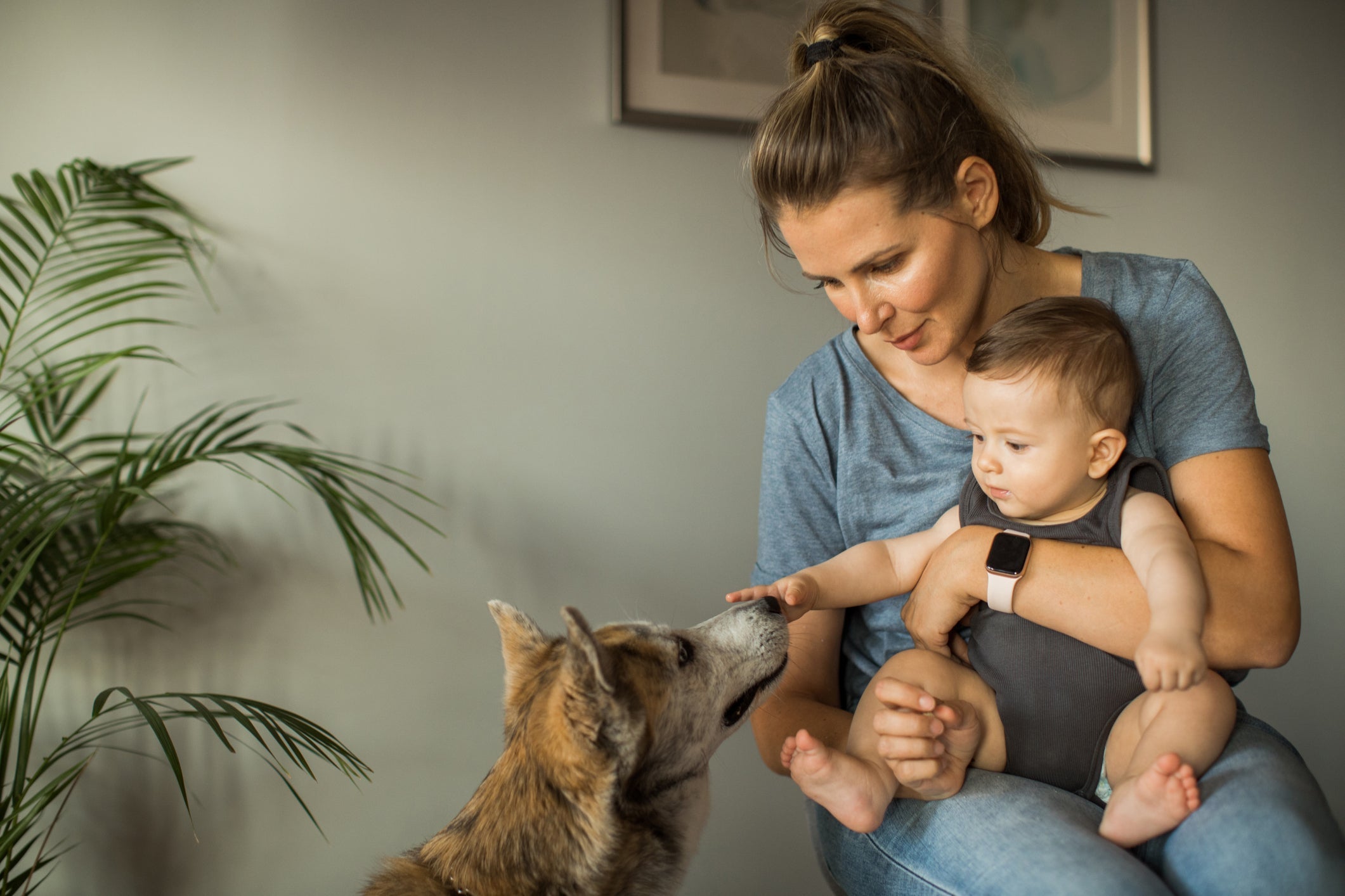 As interações entre cachorros e bebês devem ser sempre supervisionadas e seguir algumas precauções