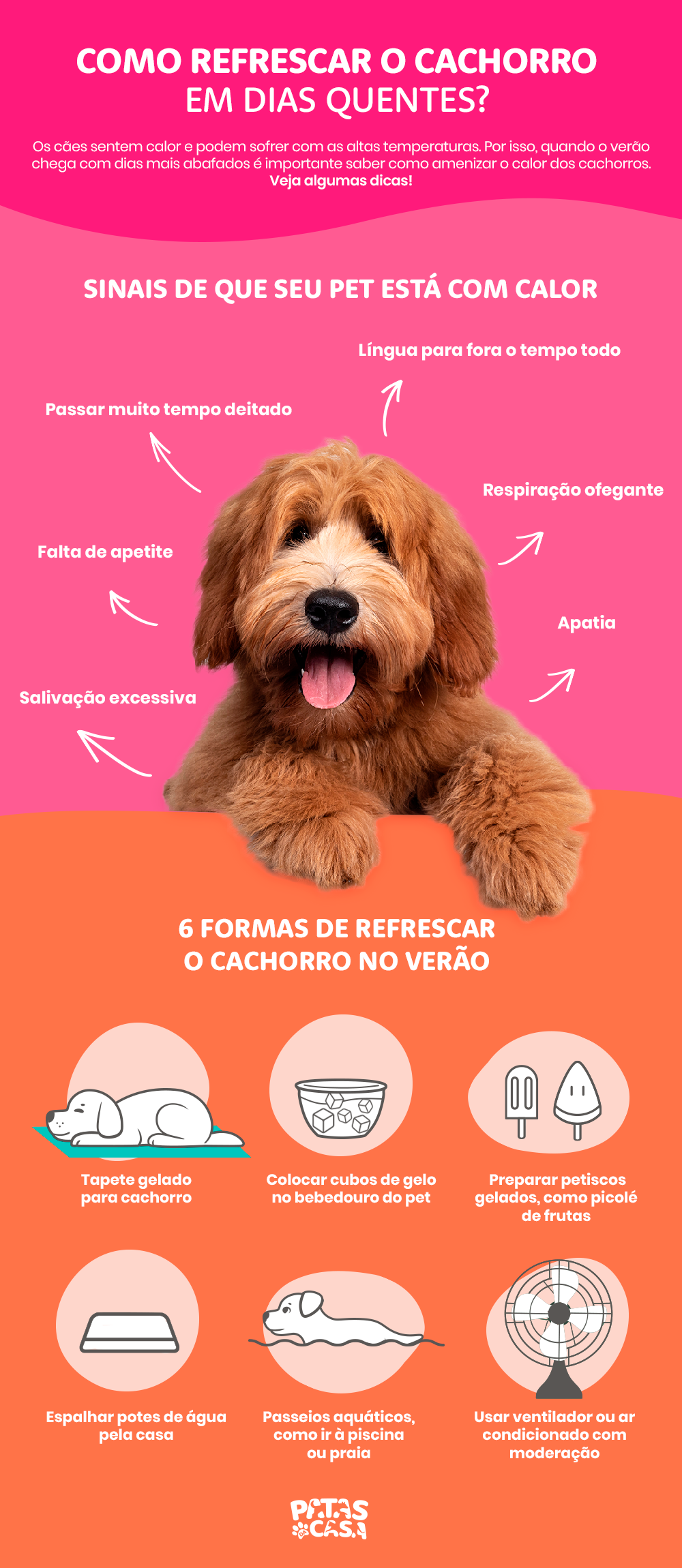 O cachorro com calor precisa de alguns cuidados especiais, como uma água bem geladinha
