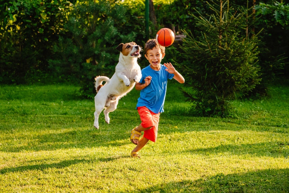 A interação do cachorro com criança deve ser supervisionada pelos adultos. 