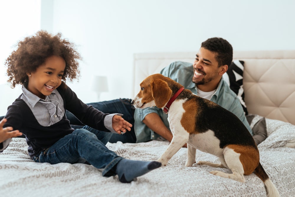 Ensine criança e cachorro a conviverem com respeito aos limites de cada um.