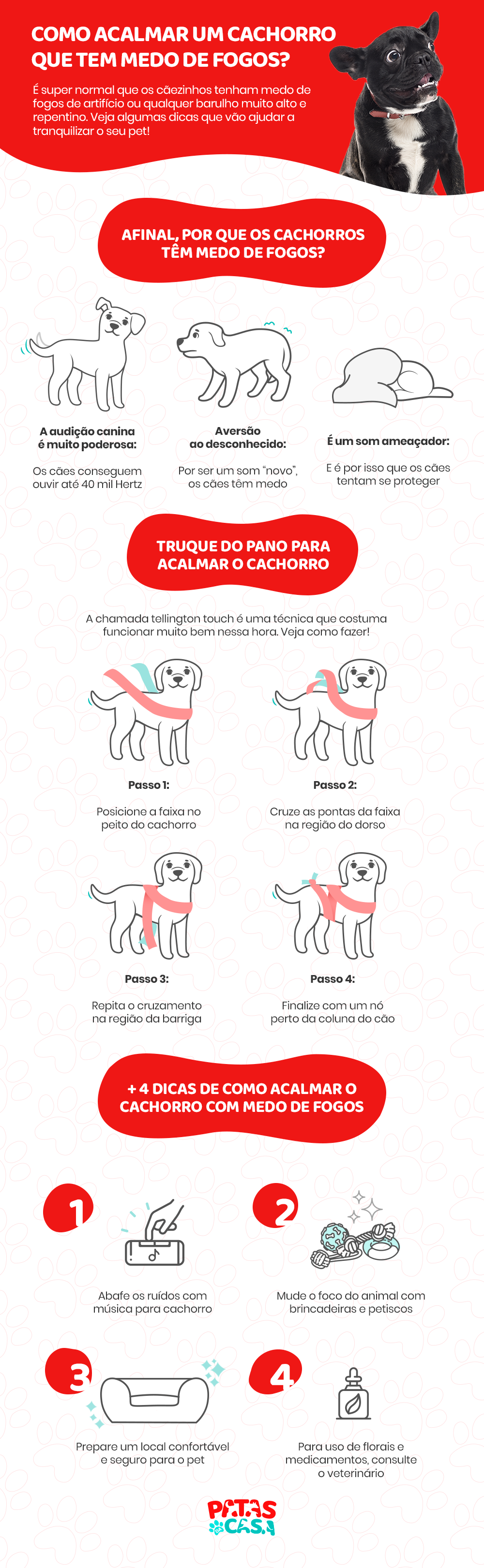 Veja em infográfico como acalmar cachorro com medo de fogos!