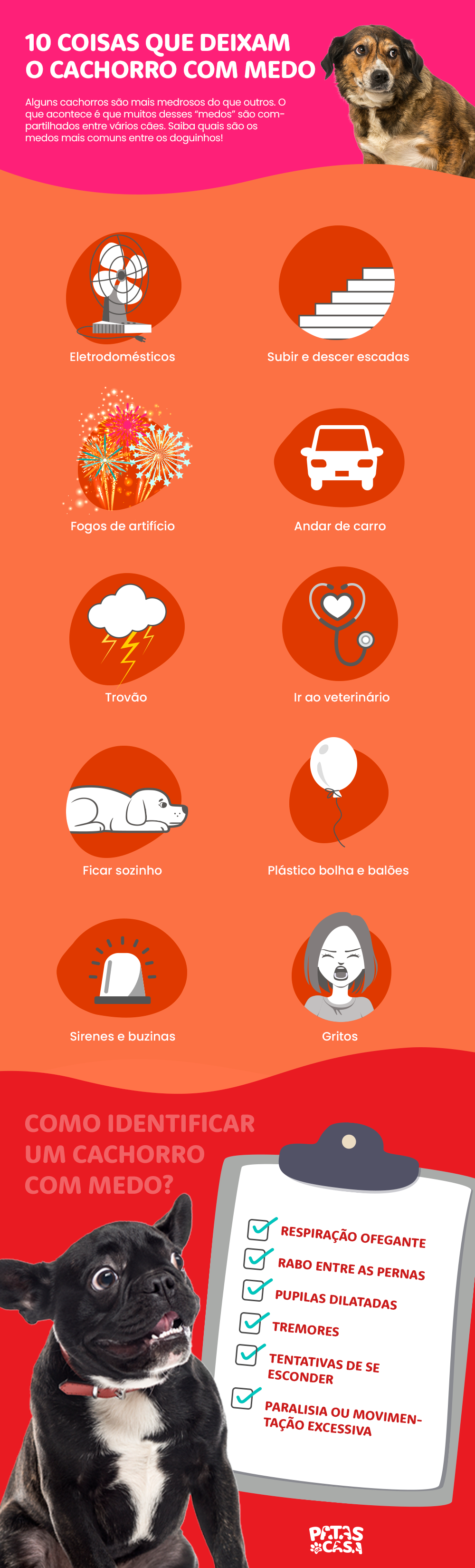 Bloco informativo mostrando as coisas que deixam o cachorro com medo