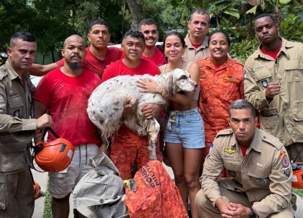 Cachorro de Anitta, Charlie, é resgatado (Créditos: Instagram/@anitta)