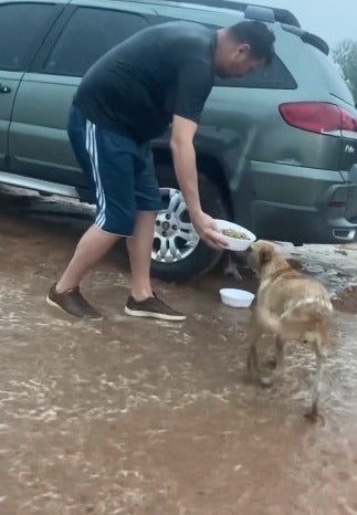 Marcio aparece alimentando um cão de rua debaixo de forte chuva  (Créditos: Instagram/ @protetordotitok) 