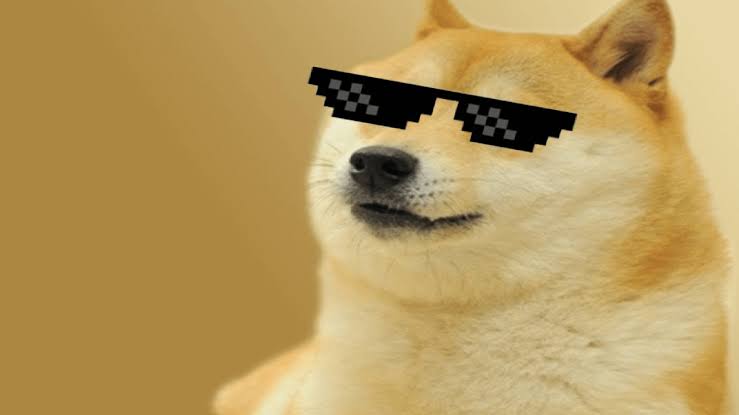 Cachorro de óculos: meme do Doge já foi eleito o Meme da Década