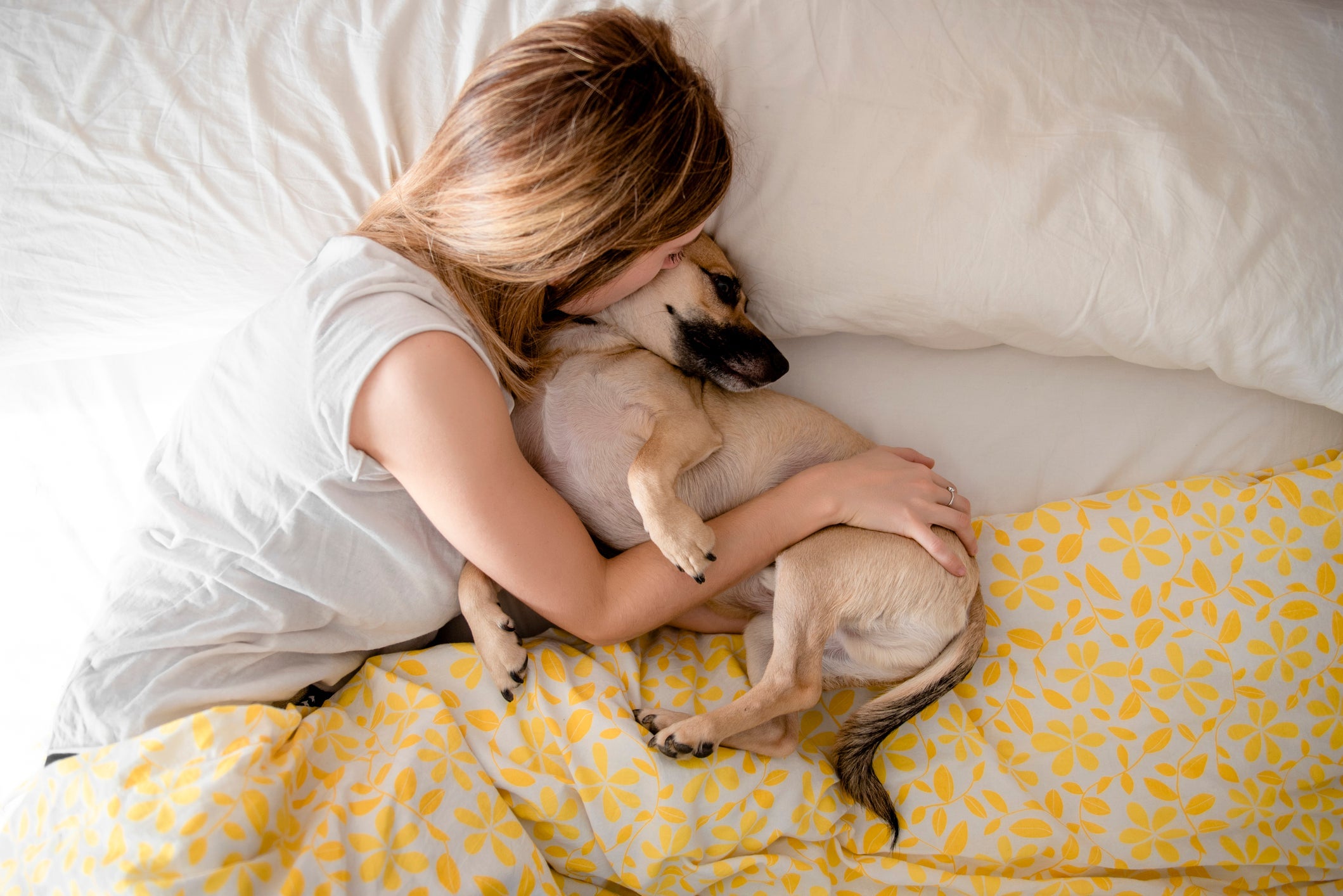 O cachorro dormindo tem os mesmos estágios de sono dos humanos