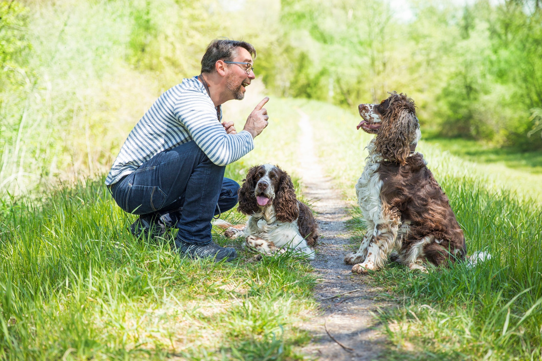 Linguagem dos cachorros é baseada principalmente na entonação e repetição de palavras