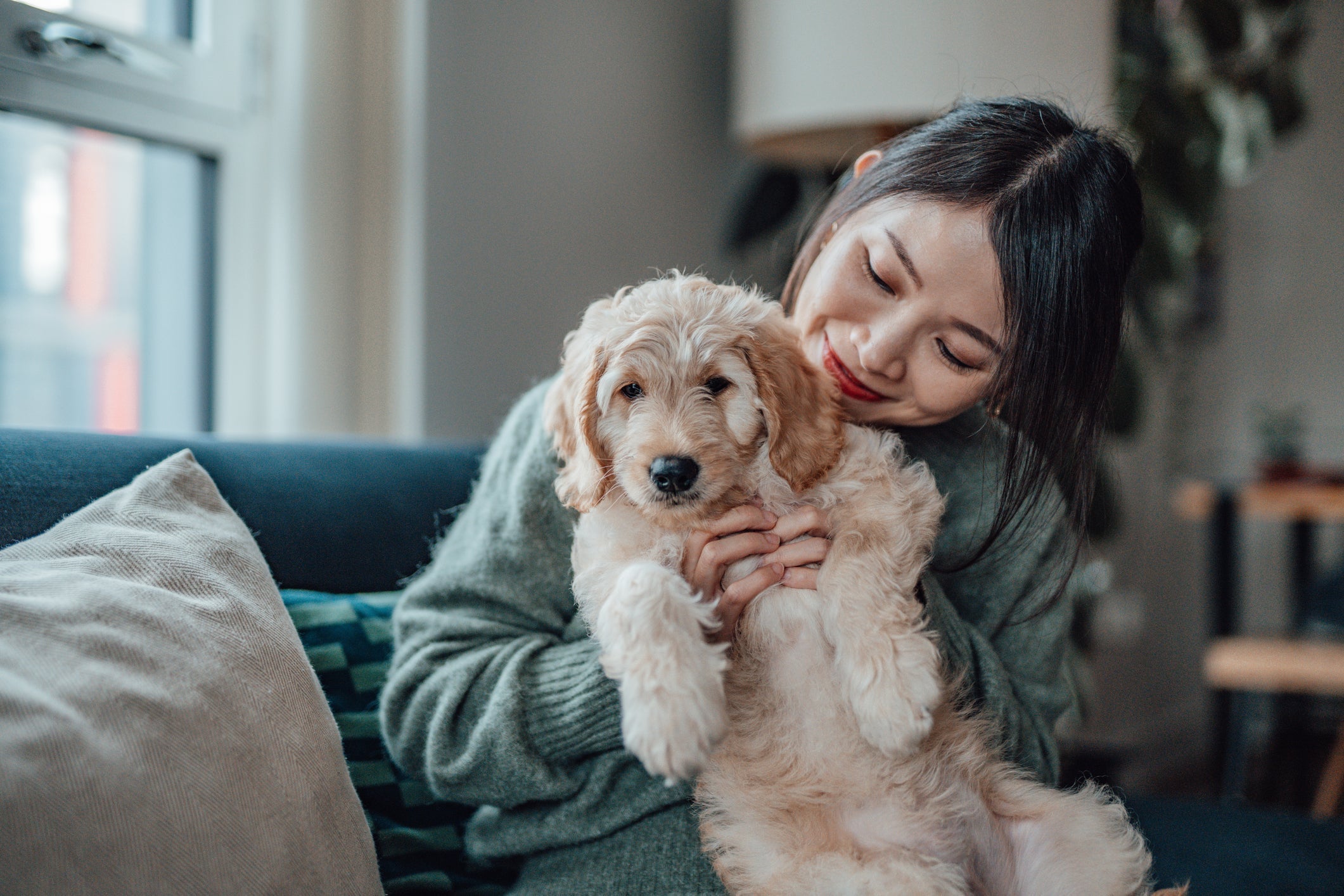 O possível adotante precisa ter plena certeza de que quer (e pode ter) um cachorro