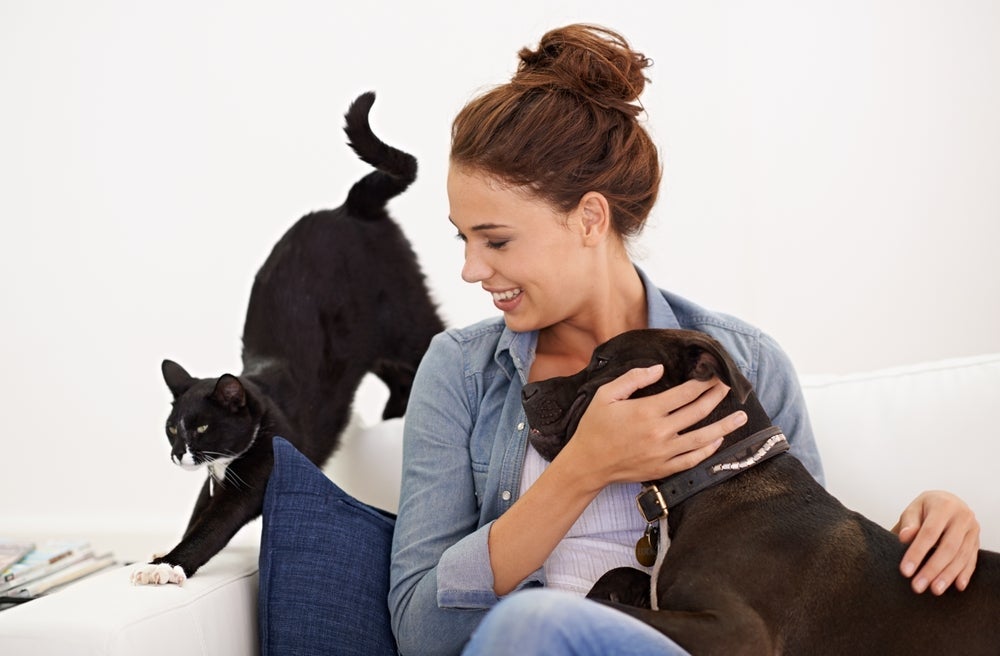 Cachorro e gato têm comportamentos distintos em relação a humanos