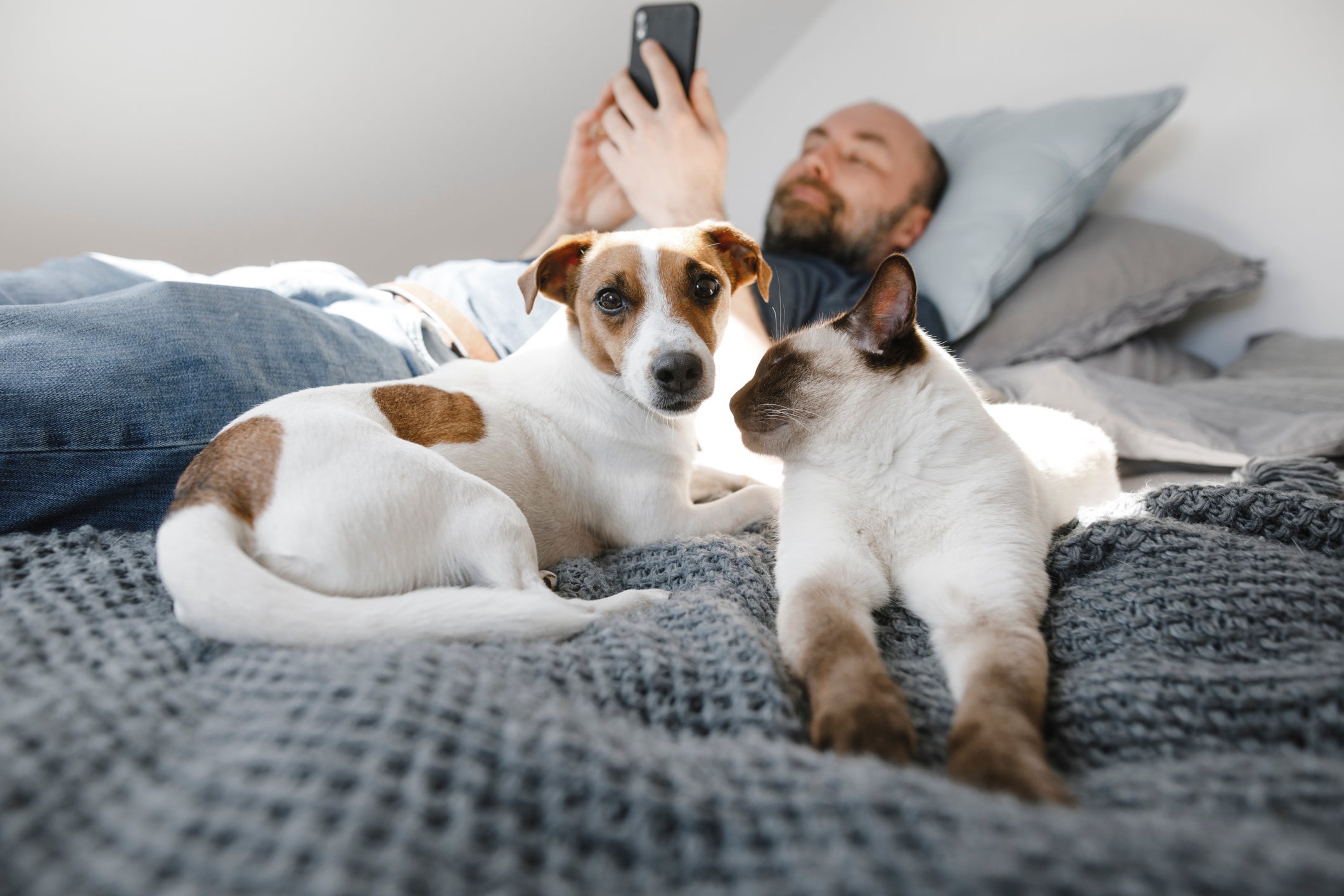 Para estimular a boa convivência dos pets, cada animal deve ter seu espaço