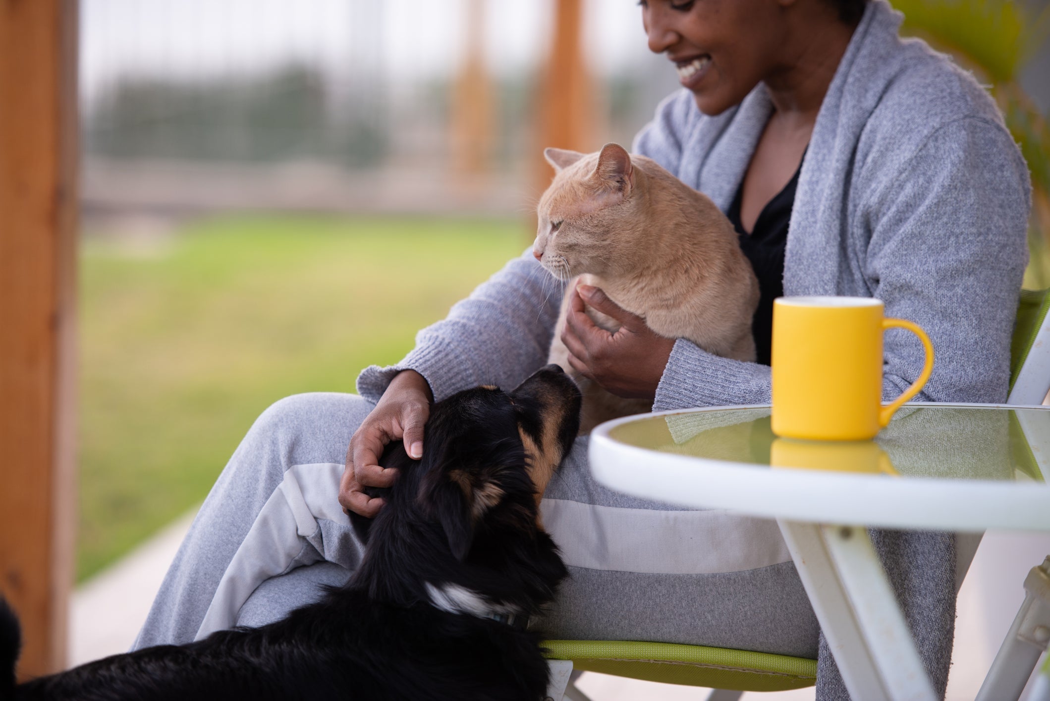 Tutores de animais devem realizar um cadastro, mas sem pagar impostos