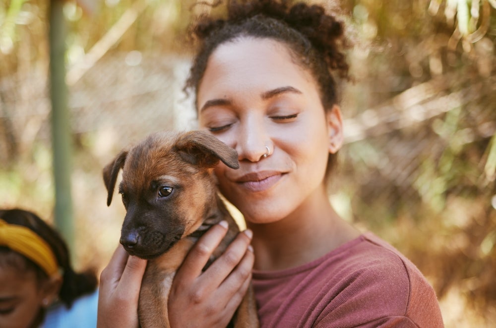 Cachorro gosta de carinho, mas o abraço é uma demonstração mais positiva para eles