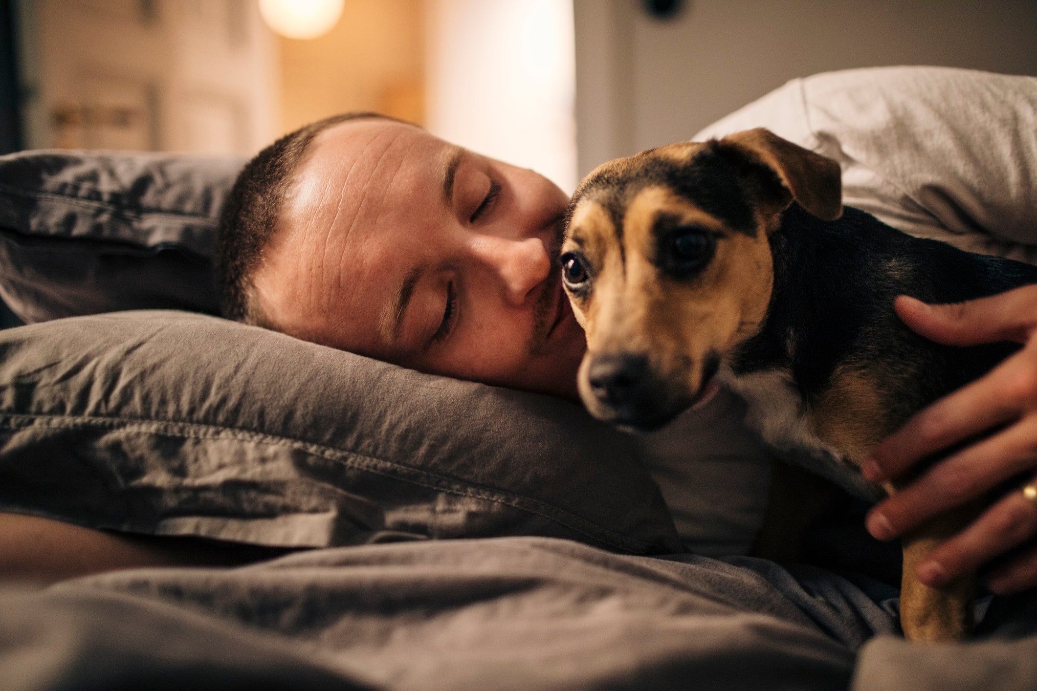 A humanização de animais não tem problema, desde que exista um certo equilíbrio 