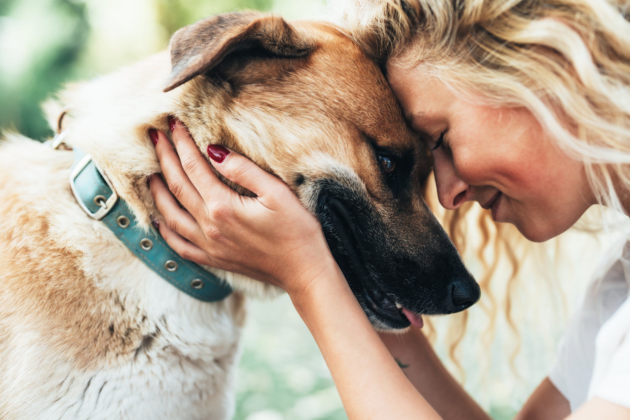 Cães observam, imitam e respondem às emoções humanas, enquanto nós reagimos ao comportamento deles