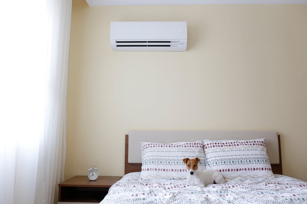 O cachorro pode dormir no ar condicionado sim, mas o ideal é que a temperatura não seja inferior a 22º C