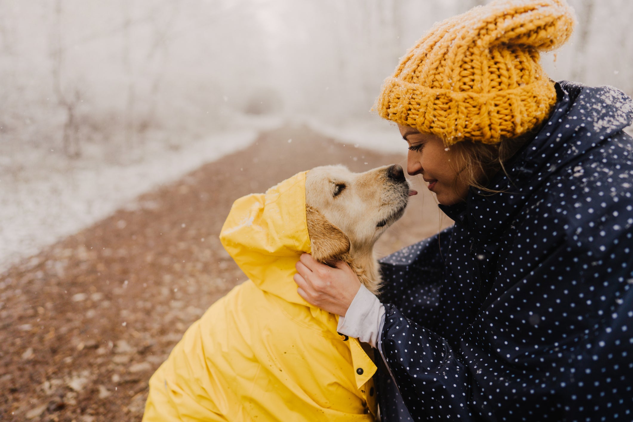 A capa de chuva para cachorro é essencial quando você for passear com seu doguinho