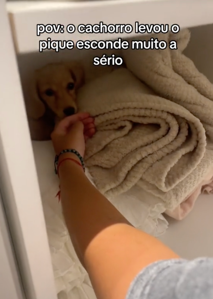 Tutores encontram cachorro se escondendo nos cantos do armário após uma longa busca dentro de casa.   Créditos: TikTok/@notdudacereza