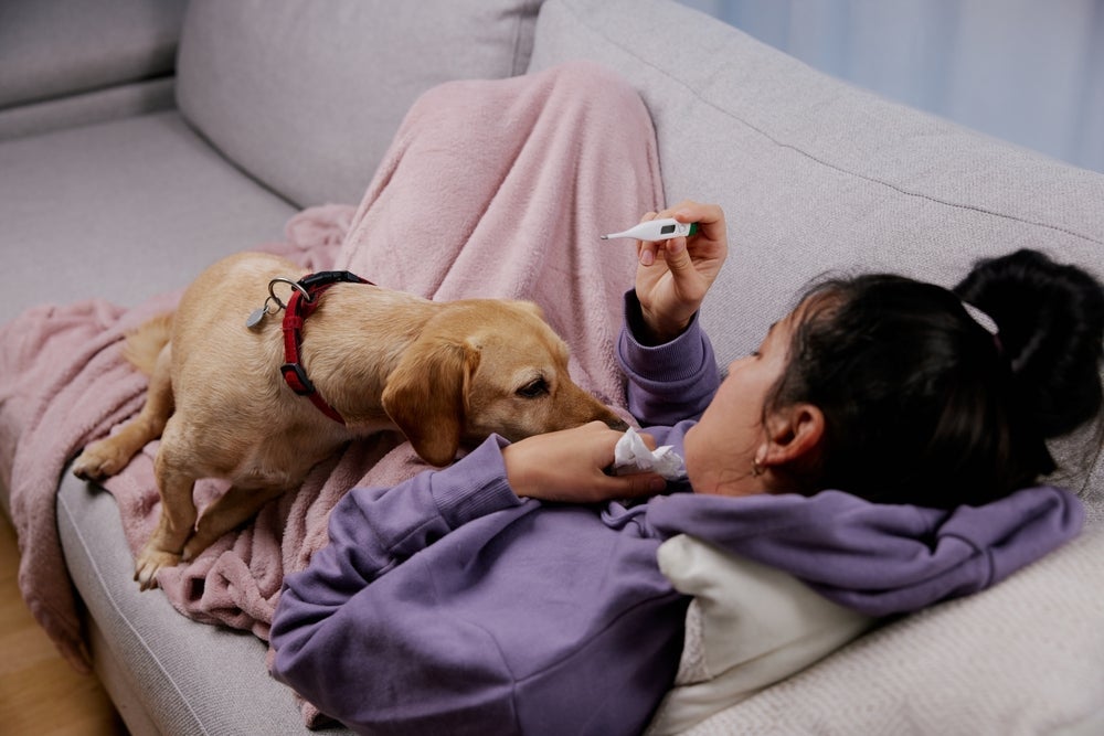 Cachorro sente quando o dono vai morrer e também quando está doente