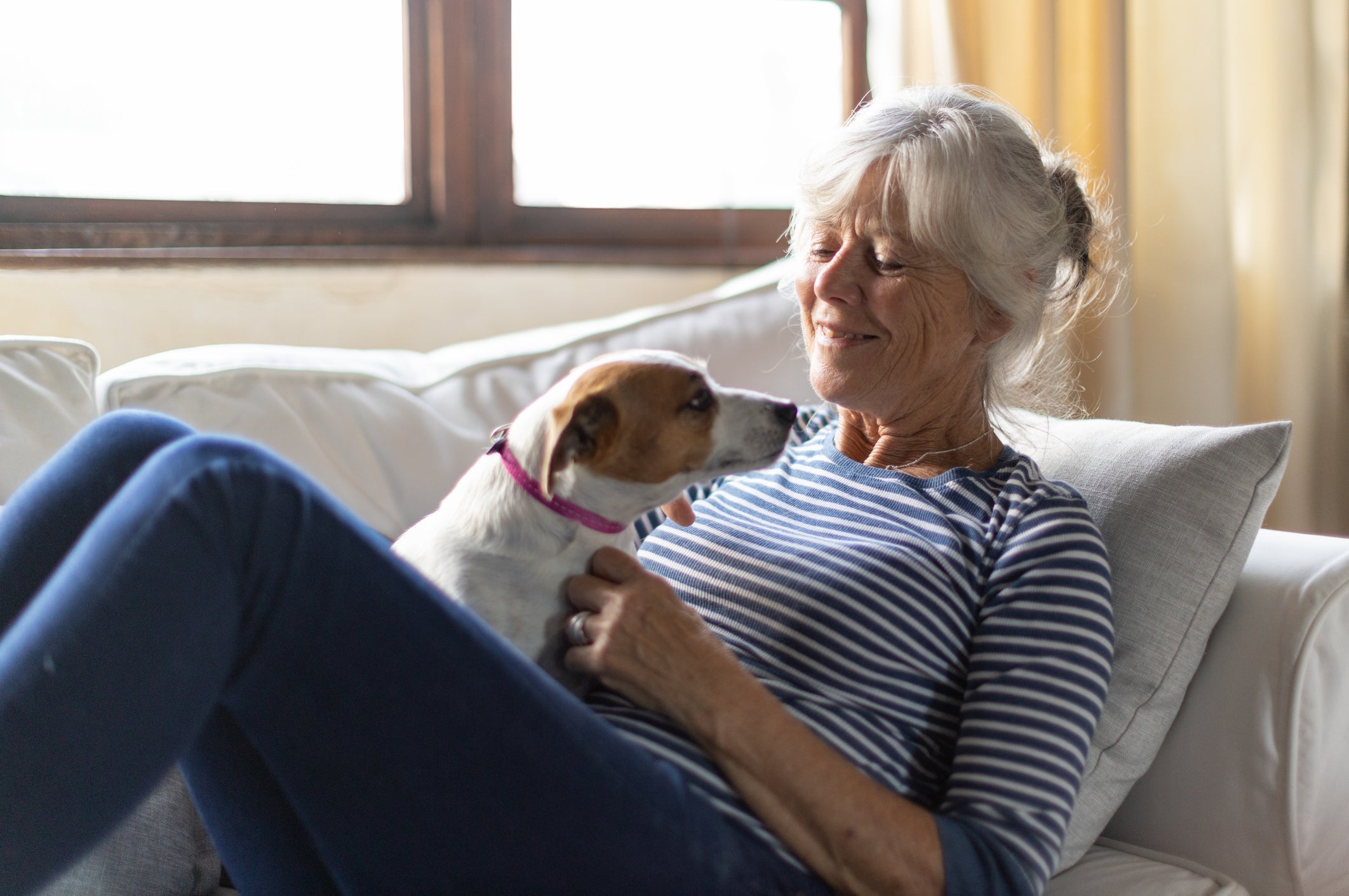 As pessoas ficam menos estressadas na presença de cães, seja ele um cachorro terapeuta ou não 