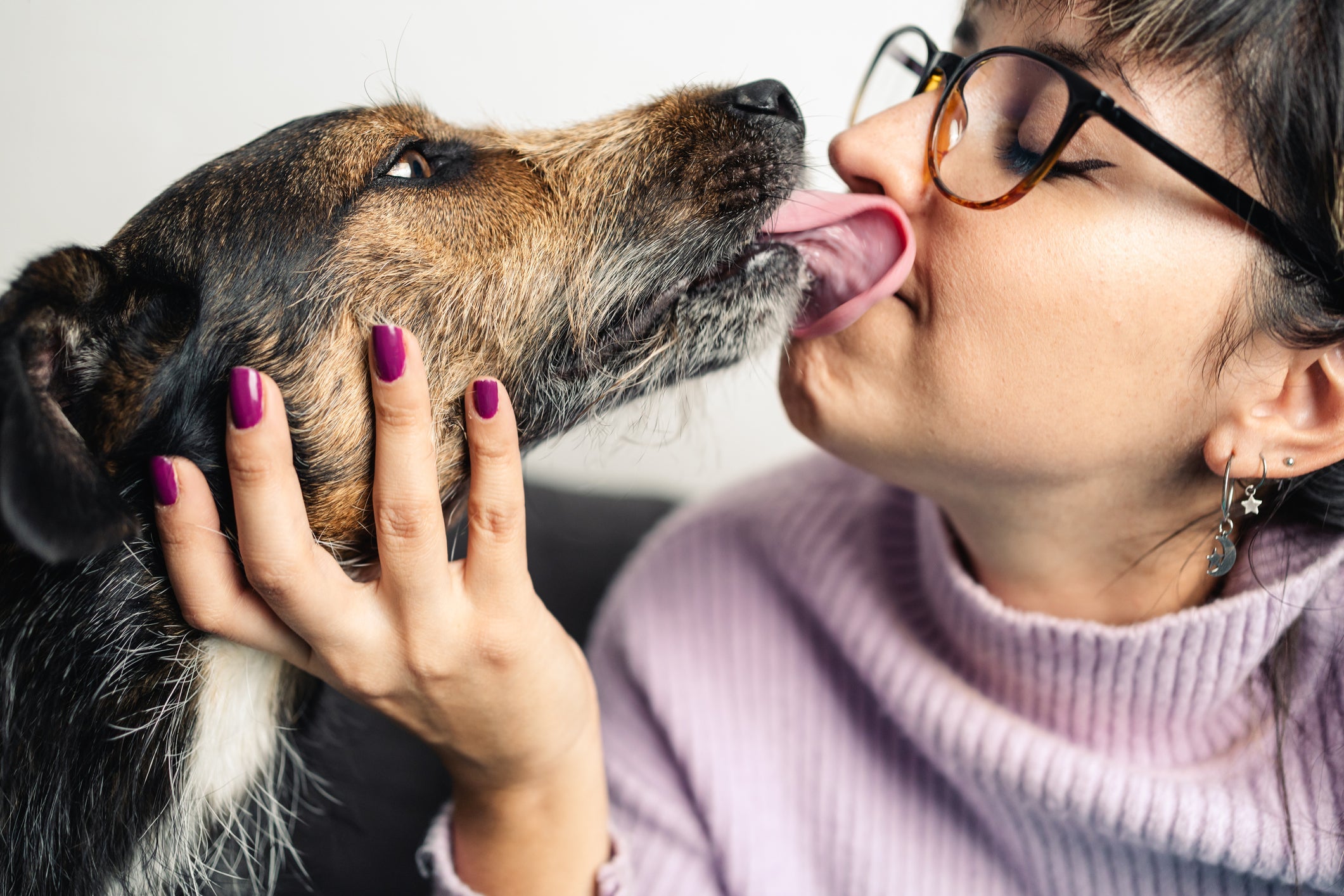 Cachorro soltando muito pelo: vira-latas mais peludos também podem passar por isso