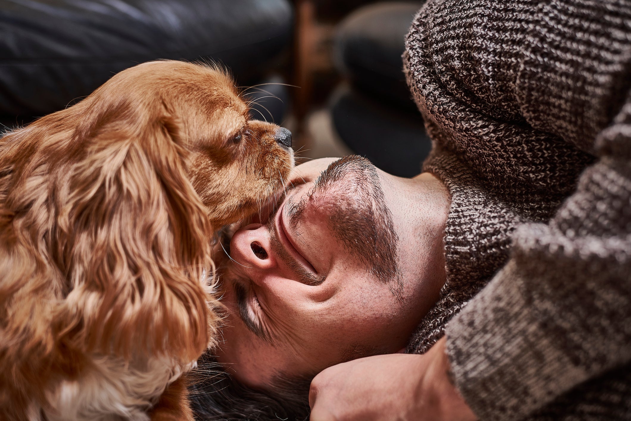 O dia a dia com um cachorro deixa qualquer pessoa mais feliz