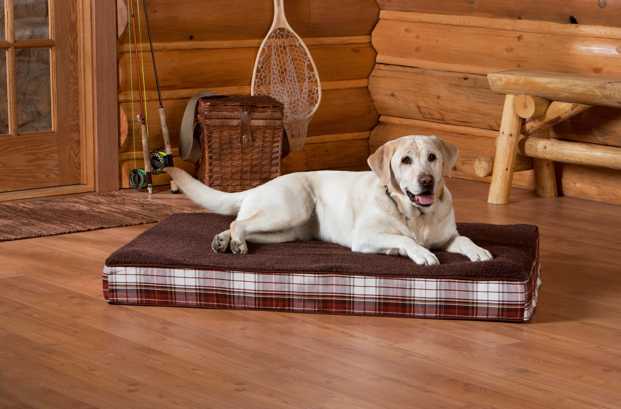 A cama box para cachorro  faz o maior sucesso entre cachorros grandes