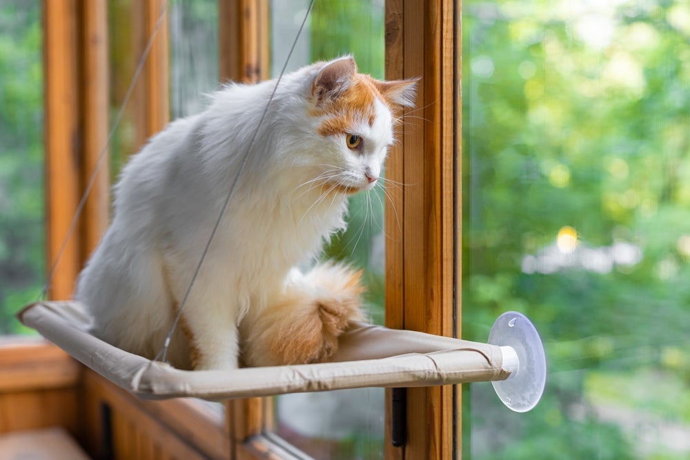 Caminha de janela para gatos permite banhos de Sol com vista para fora